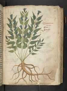 Tilføj MS 41623 