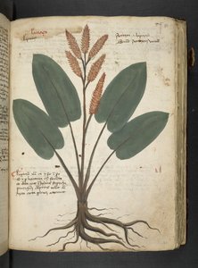 Tilføj MS 41623 