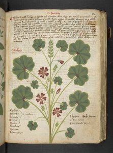 Tilføj MS 41623 