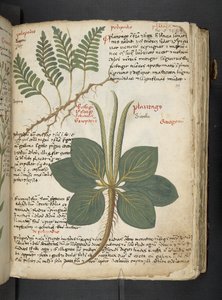 Tilføj MS 41623 