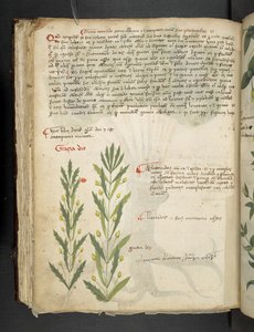 Tilføj MS 41623 f.39v 