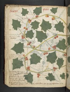 Tilføj MS 41623 f.53v 