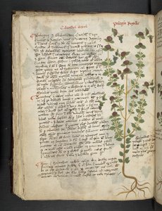 Tilføj MS 41623 f.54v 
