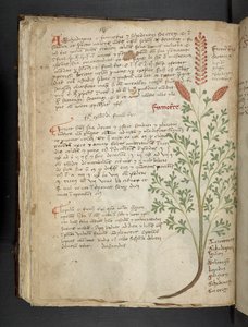 Tilføj MS 41623 f.65v 