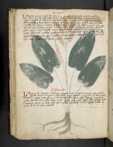 Tilføj MS 41623 f.80v 