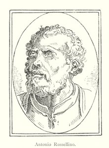 Antonio Rossellino (gravering) af Italian School