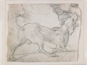 Gøende hund, set bagfra (sort kridt) af Italian School