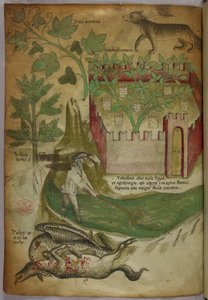 Botanisk og animalsk illustration af planter, en indhegnet have, en ulv, en mand, der fisker i et vandløb med et net, og en grib, der hakker i et dyrekadaver, ca. 1440 (blæk og farve på pergament). af Italian School