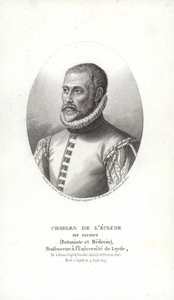 Carolus Clusius af Italian School