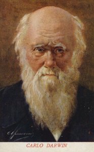 Charles Darwin (1809-1882), engelsk naturforsker (farvelitografi) af Italian School