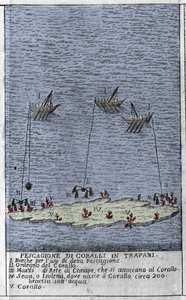 Koralfiskeri i Trapani-bugten på Sicilien, en repræsentation af små undersøiske øer, hvor der dannes koraltønder. Gravering fra "" Stato Presente della Sicilia"" af Arcangelo Leanti, Palermo 1761 af Italian School