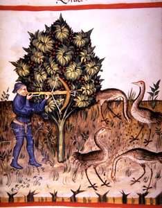 Fol.70v jagtkrane, illustration fra 