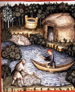 Fol.82r Frisk fisk, illustration fra 