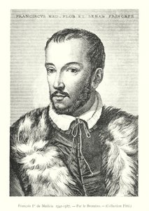 Francois II de Medicis af Italian School
