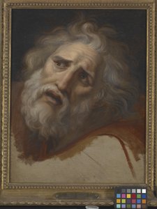 Head Of Laocoon (olie på lærred) af Italian School