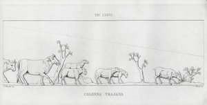 Trajans søjle, Trajans søjle (gravering) af Italian School