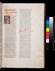 Fru 143. Gregor den Store, Registrum Epistolarum, f.8r. Dekoreret initial [S] med hvidt vinbladsfyld og endestykker af Italian School