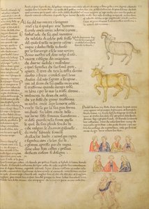 Ms Italien 87 fol.171 Side, der illustrerer astrologiske tegn, fra 