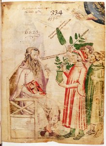 Ms Lat 6823 fol.1 Mænd, der præsenterer planter for en ukendt mand, fra De Herbis af Manfredus de Monte Imperiali af Italian School