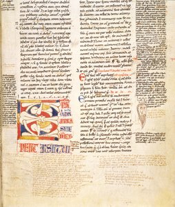 Ms. McClean 135, f.96r: detalje af en planteform, historisk initial C fra Gratians Decretum, slutningen af det 12. århundrede af Italian School