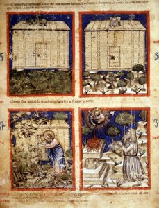 Noahs Ark, miniature taget fra codex 212 (eller Padovano Codice eller Bible of Padua) 1390-1400 Rovigo, Accademia dei Concordi af Italian School
