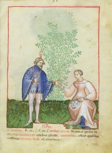 Nouv Acq Lat 1673 fol.83 Roses, fra Tacuinum Sanitatis, ca. 1390-1400 af Italian School