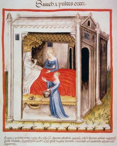 Nova 2644 fol.44v Smagsbygsuppe, fra Tacuinum Sanitatis af Italian School