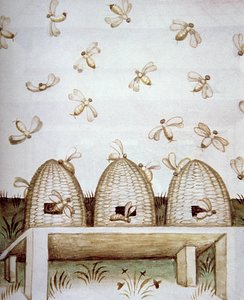 Nova 2644 fol.94v Bistader, fra Tacuinum Sanitatis af Italian School