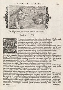 Side 735 fra Nordens historie af Magnus Olaus, Rom 1565 (tryk & gravering) af Italian School