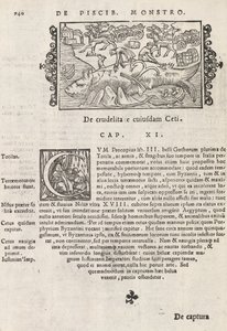 Side 740 fra Nordens historie af Magnus Olaus, Rom 1565 (tryk & gravering) af Italian School