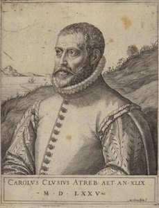 Portræt af Carolus Clusius af Italian School