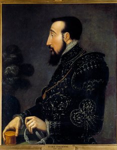 Portræt af Henrik II, konge af Frankrig (1519-1559) Maleri af den italienske skole. 16. århundrede. Søn 0,58x0,46 m Chantilly, museum Conde af Italian School