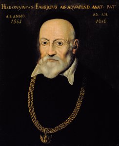 Portræt af Hieronymus Fabricius