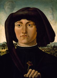 Portræt af en ung mand med en lyserød blomst, ca. 1475-85 (tempera på træ) af Italian School