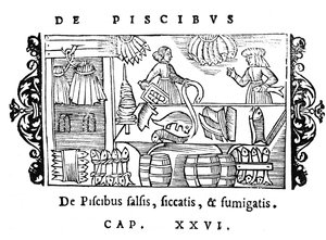 Saltning, tørring og røgning af fisk, illustration fra Historia de Gentibus Septentrionalibus af Olaus Magnus (1490-1558), udgivet i Rom, 1555 af Italian School