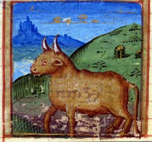 Tyrens tegn. Italiensk horoskop, midten af 1400-tallet. af Italian School
