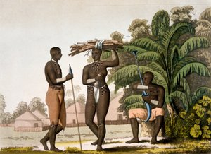 Sydøstkysten: Cafere nation, 1820