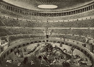 Colosseum, det store vilddyrsjagt (litho) af Italian School