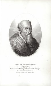 Ulisse Aldrovandi af Italian School