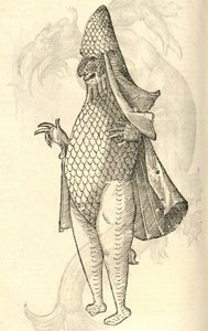illustration af Monstro Marinus fra Aldrovandis History of Monsters, 1642 af Italian School