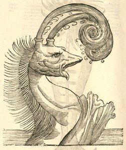 illustration af Pseudophyseter fra Aldrovandis History of Monsters, 1642 af Italian School