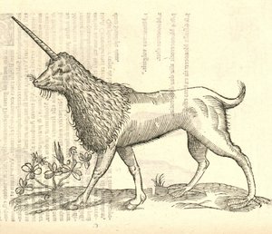 illustration af en Camphurch fra Aldrovandis History of Monsters, 1642 af Italian School