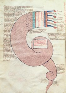 ms.ASPi, C.M 15, c.3v Side med tekst med en apokalyptisk drage, fra Liber Figurarum e le Proemisssiones Gioachimitiche af Joachim af Flora (c.1132-1202) af Italian School
