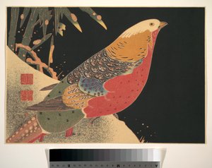 Golden Pheasant in the Snow, ca. 1900 (træsnit, blæk og farve på papir) af Ito Jakuchu
