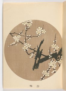 Svag lm? Er negativ, Meiji Ella, 1908 (DBock p Hayashi t)