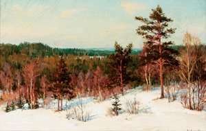 Vinter - Udsigt over skoven af Ivan Fedorovich Choultse