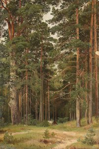 En sommerdag, Merikiul, 1895 af Ivan Ivanovich Shishkin