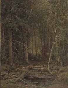 Backwoods af Ivan Ivanovich Shishkin