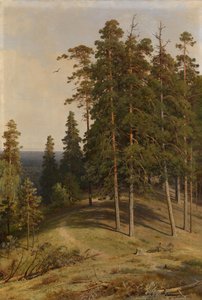 Fyrreskoven, 1895 af Ivan Ivanovich Shishkin