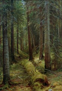 I den russiske skov